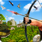 疯狂捕鸟Bird Hunting Mania V1.0.4 安卓版