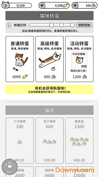 猫咪真的超可爱