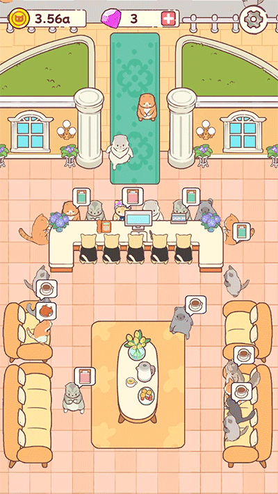 Cat Hotel