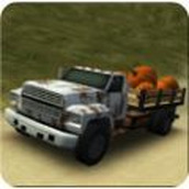 Dirt Road Trucker 3D最新版