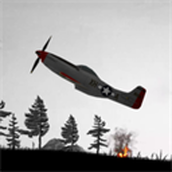 Ww2warplane Fighter Bomber安卓版