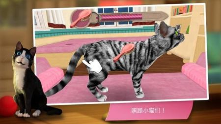 猫咪旅店 V2.1.1 安卓版